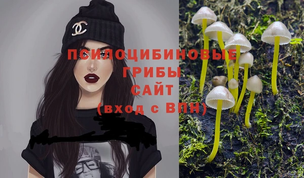 мяу мяу мука Баксан