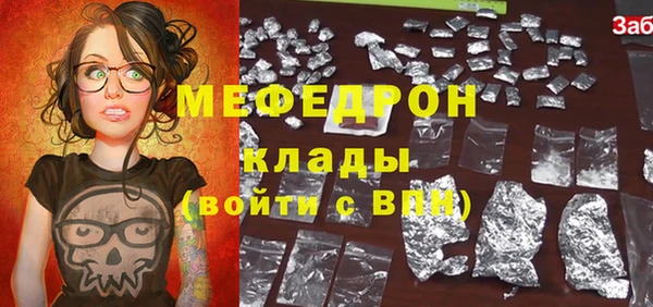 мдпв Богородицк