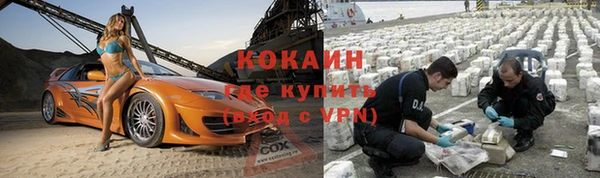 трава Белокуриха